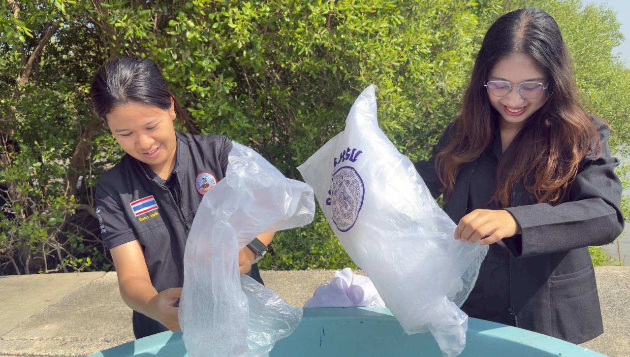 ภาพประกอบที่ 7