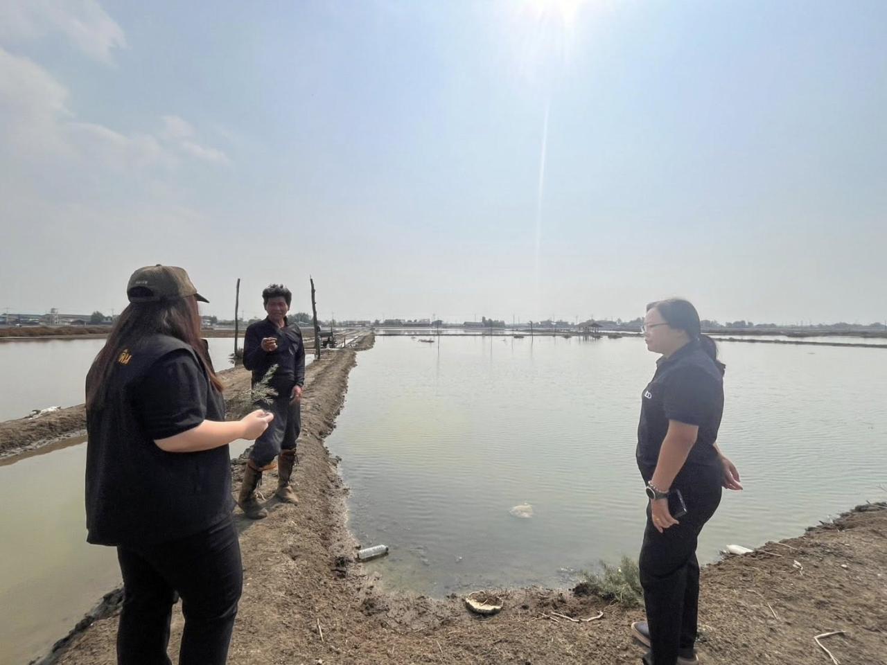 ภาพประกอบที่ 1