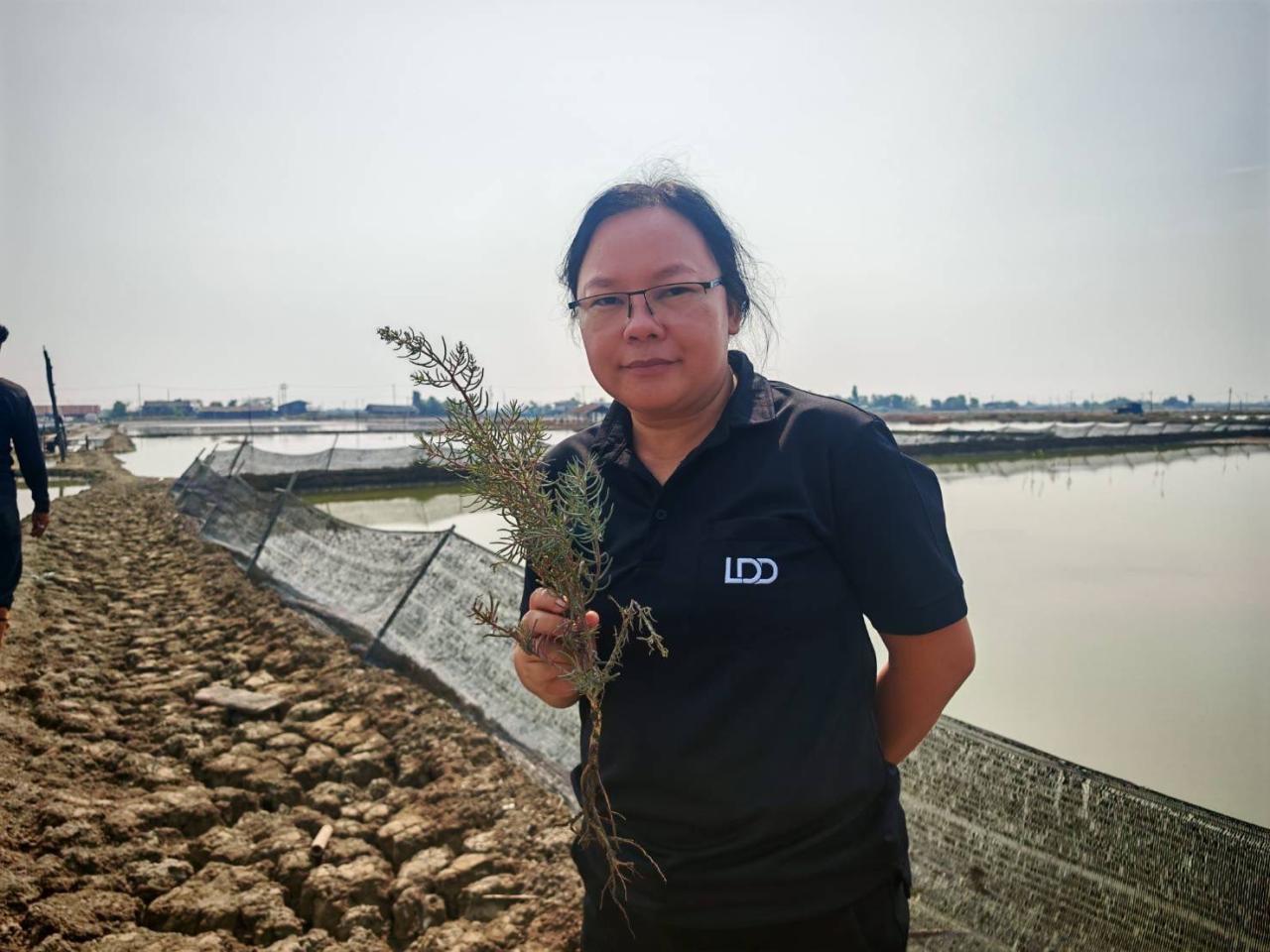 ภาพประกอบที่ 2