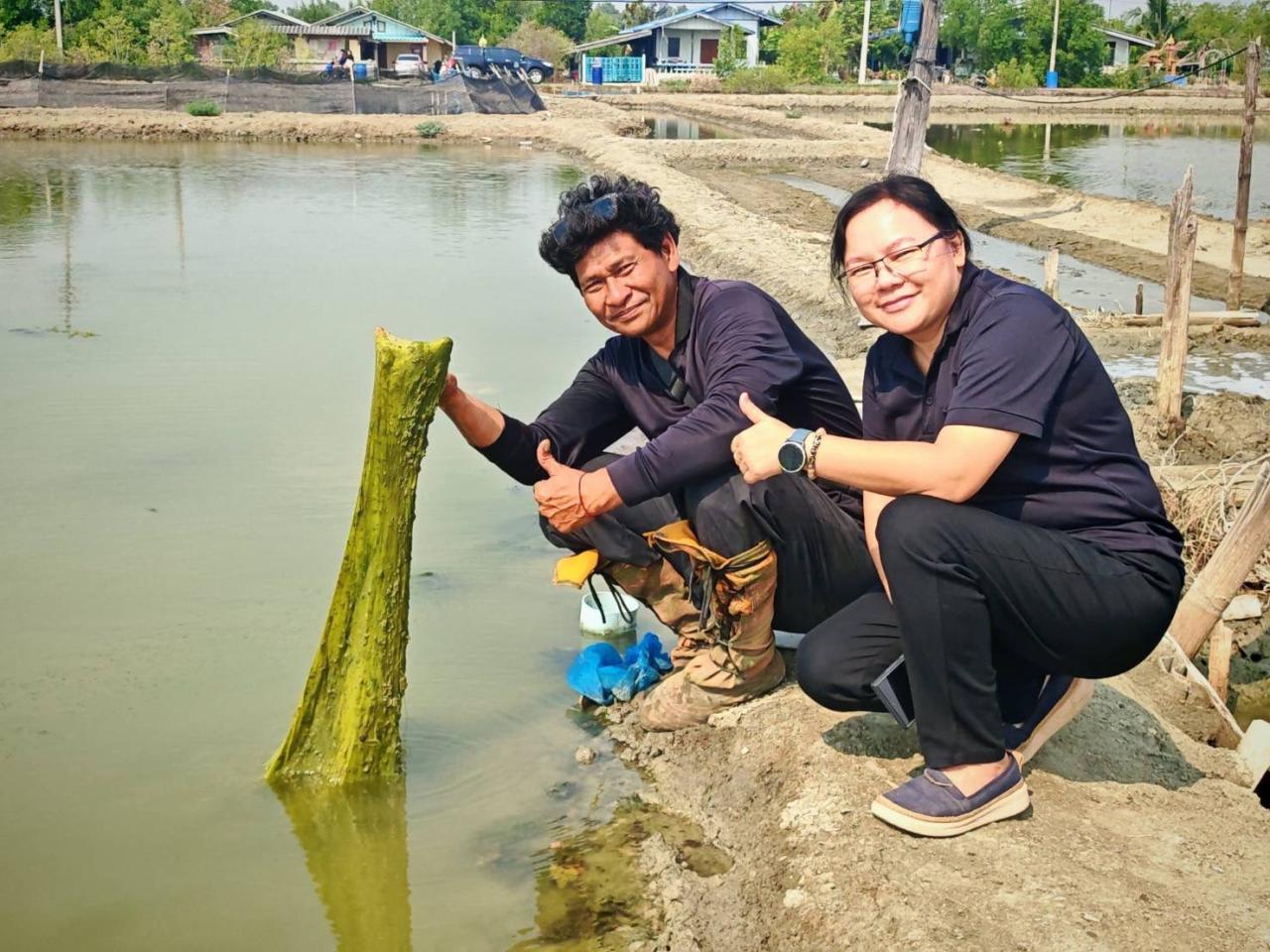 ภาพประกอบที่ 4