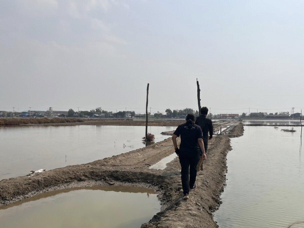 ภาพประกอบที่ 6