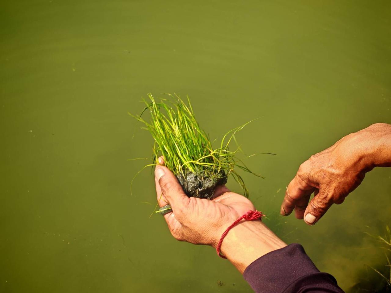 ภาพประกอบที่ 8