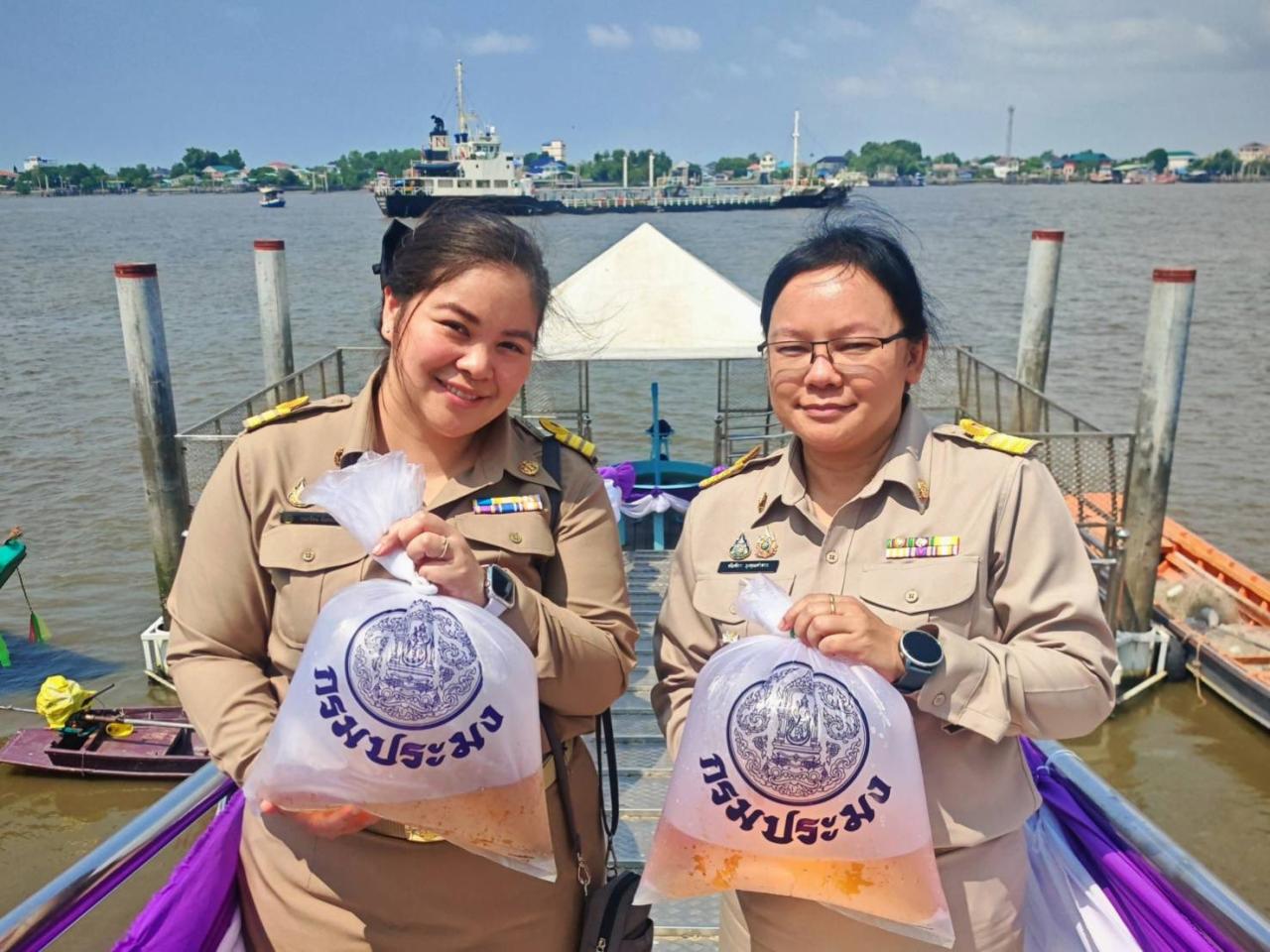 ภาพประกอบที่ 3