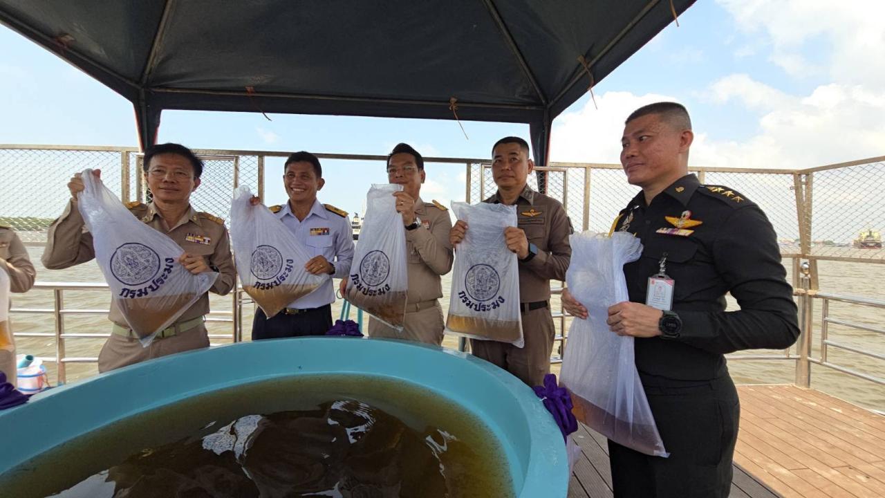ภาพประกอบที่ 6