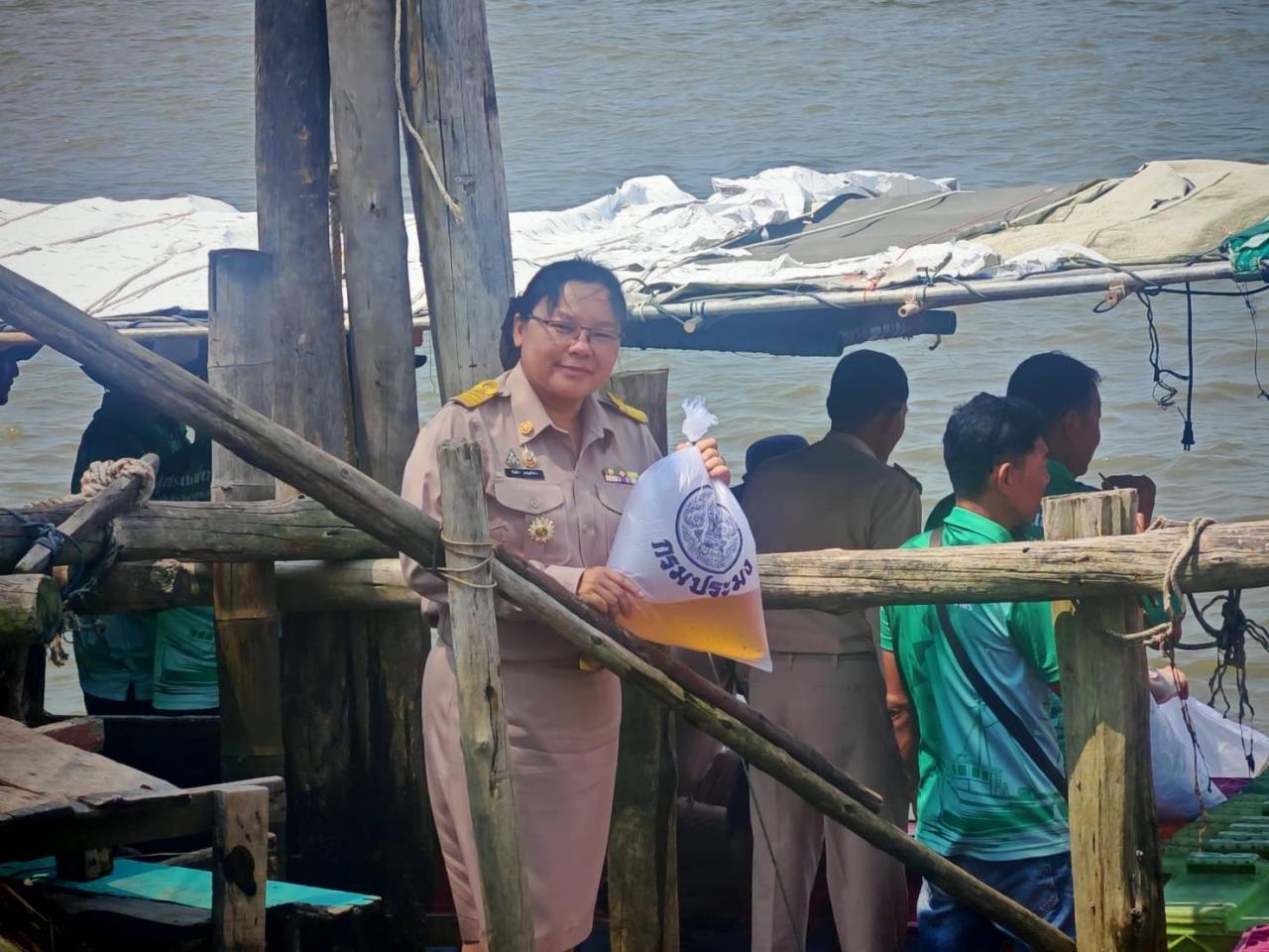 ภาพประกอบที่ 8