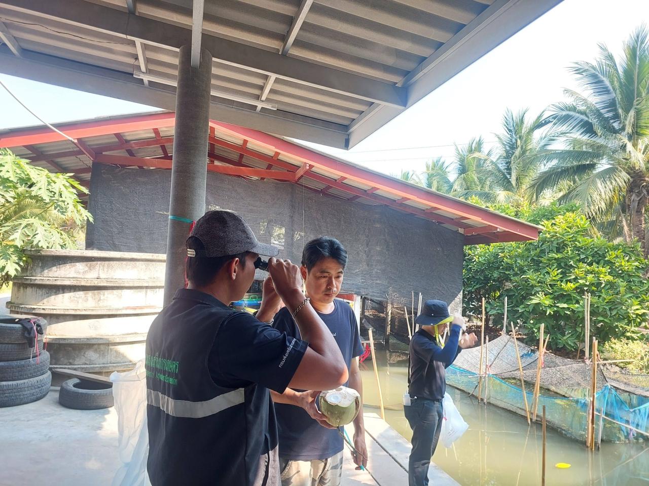 ภาพประกอบที่ 7