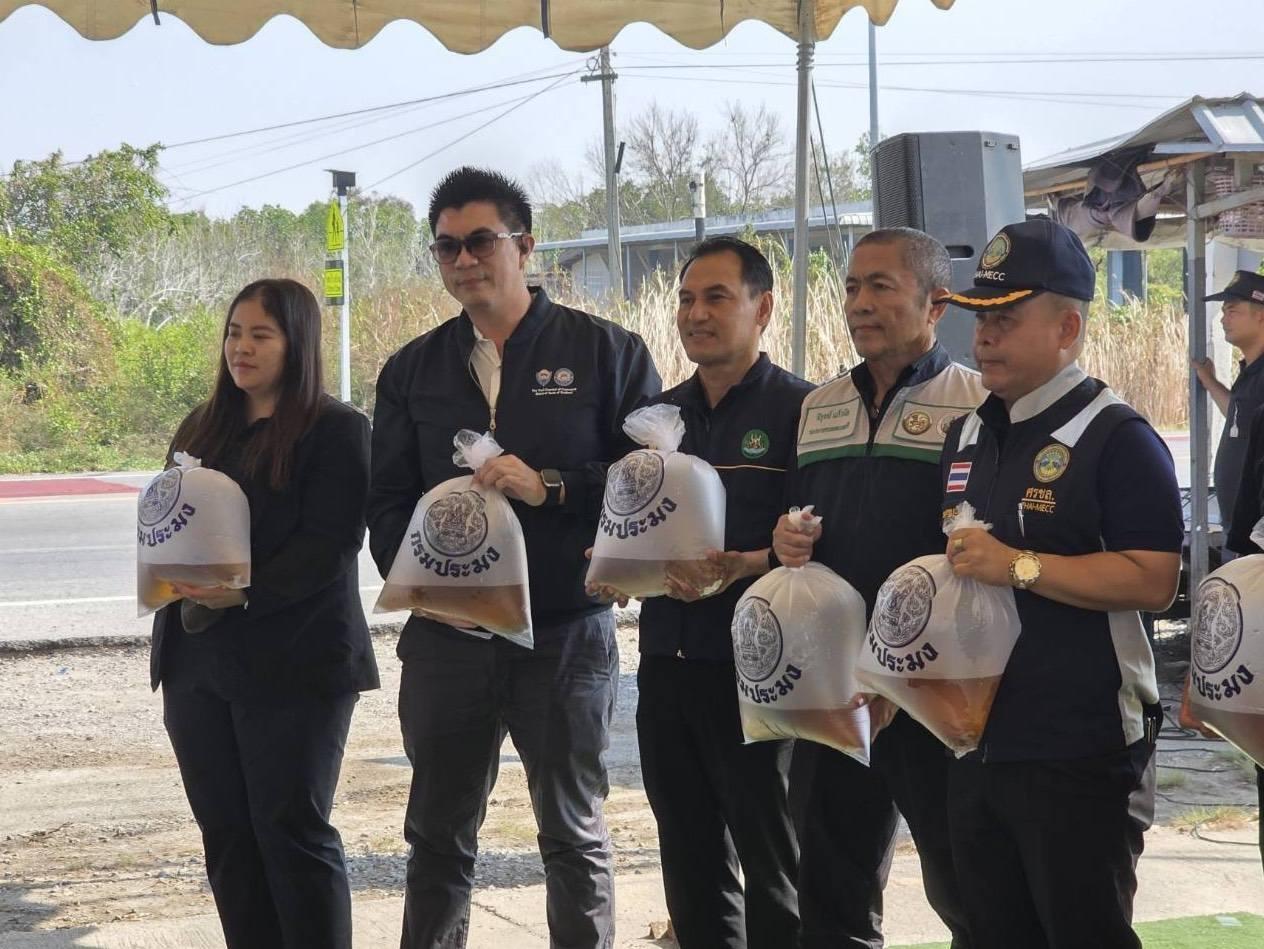 ภาพประกอบที่ 1