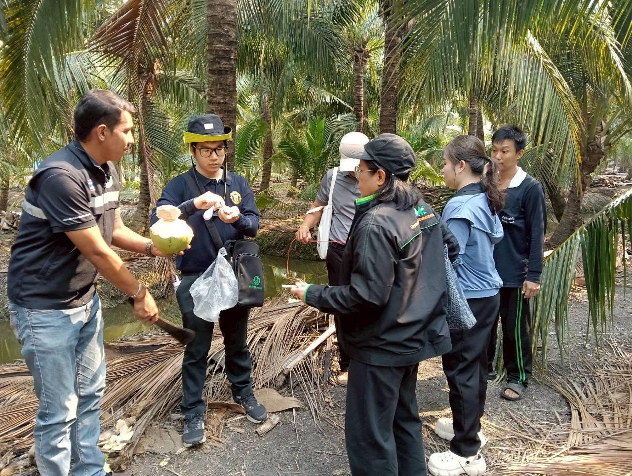 ภาพประกอบที่ 12