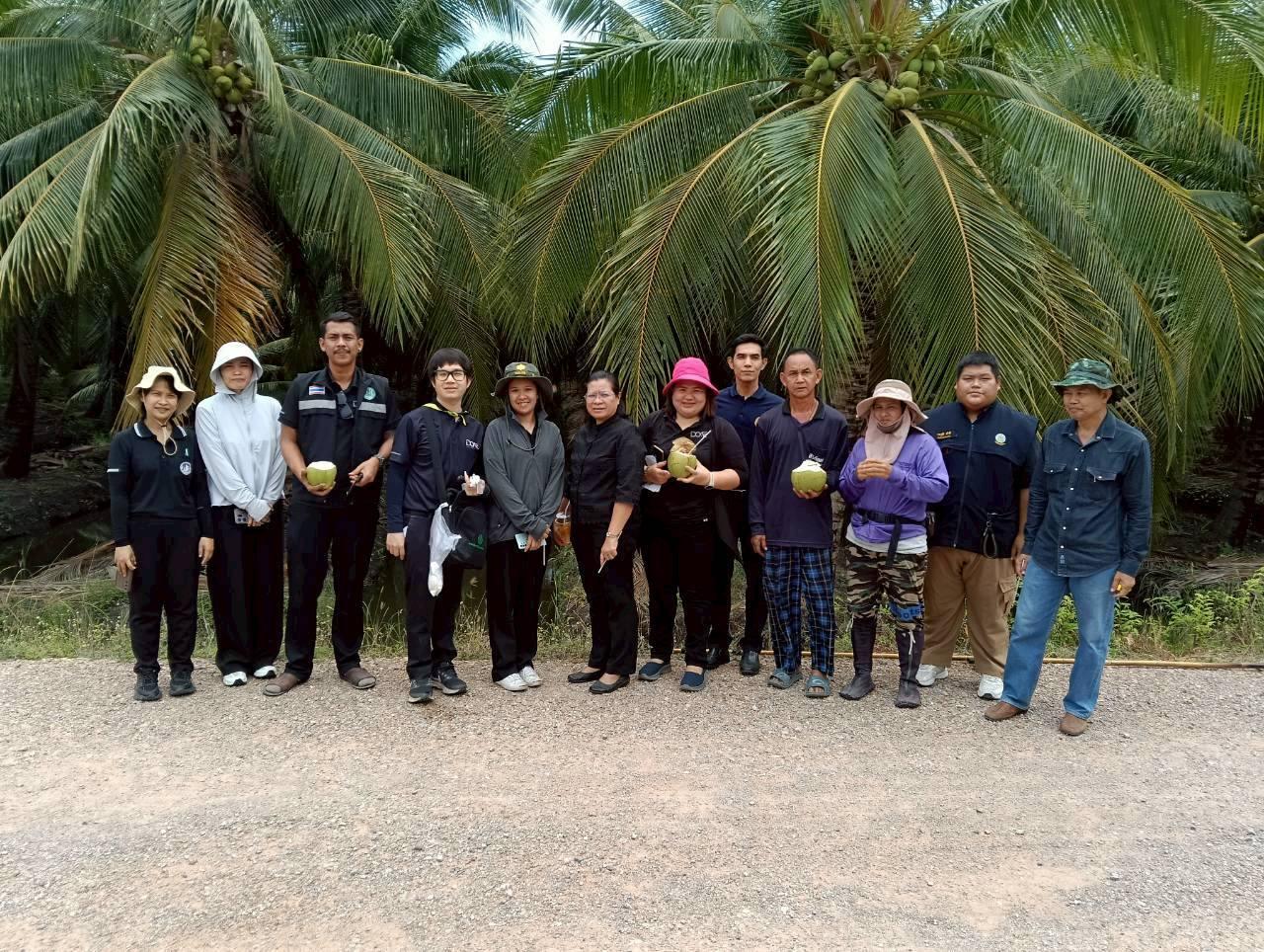 ภาพประกอบที่ 20