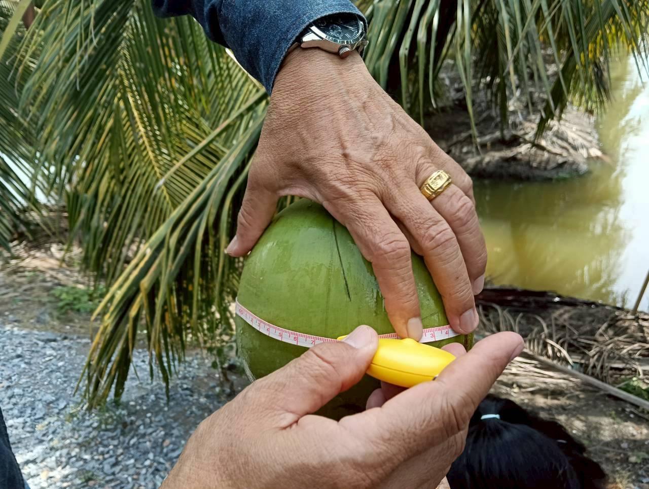 ภาพประกอบที่ 21