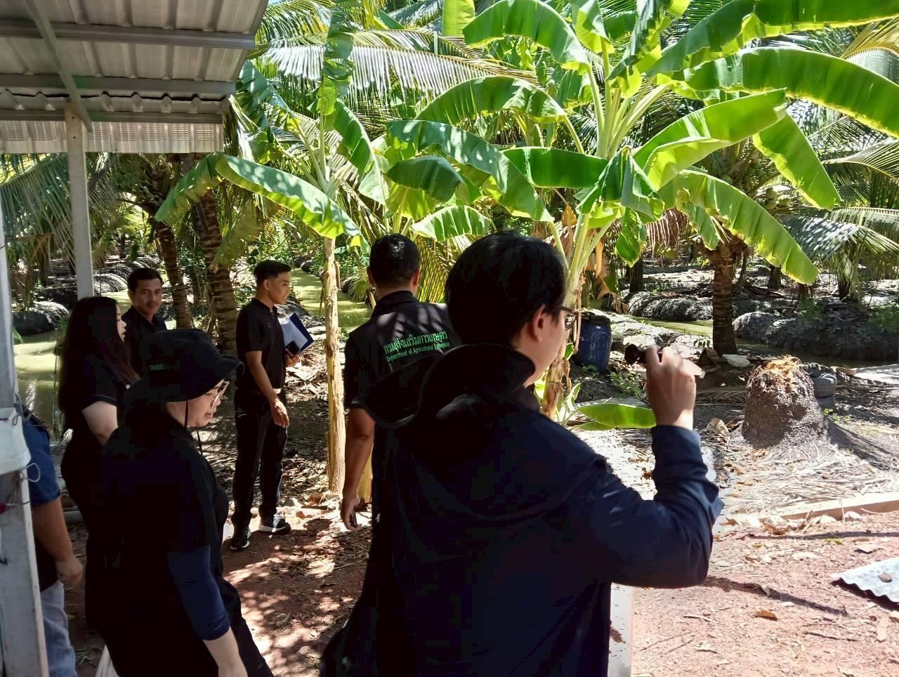 ภาพประกอบที่ 3