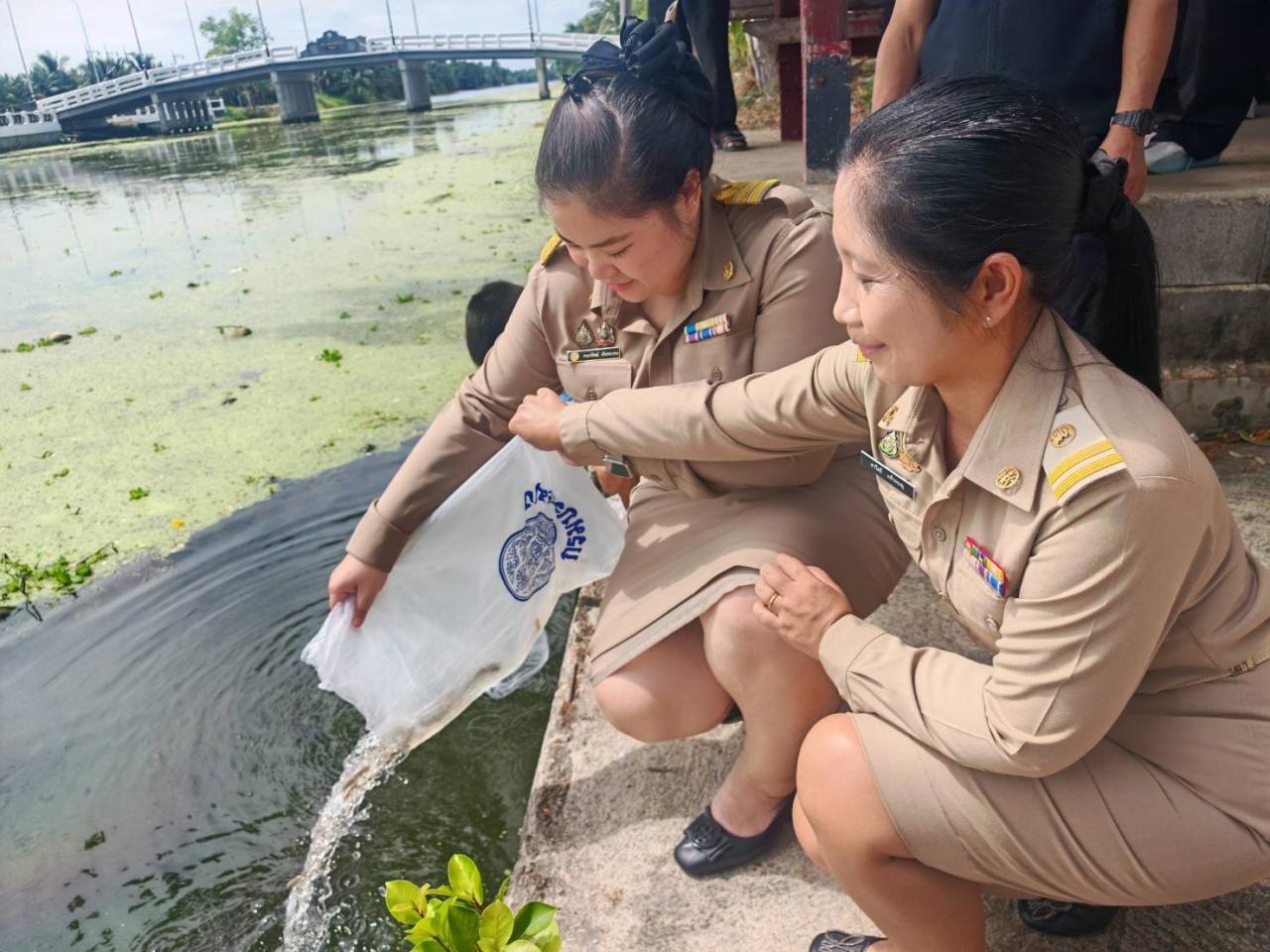 ภาพประกอบที่ 6