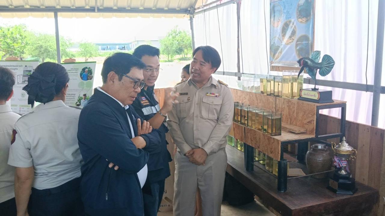ภาพประกอบที่ 7