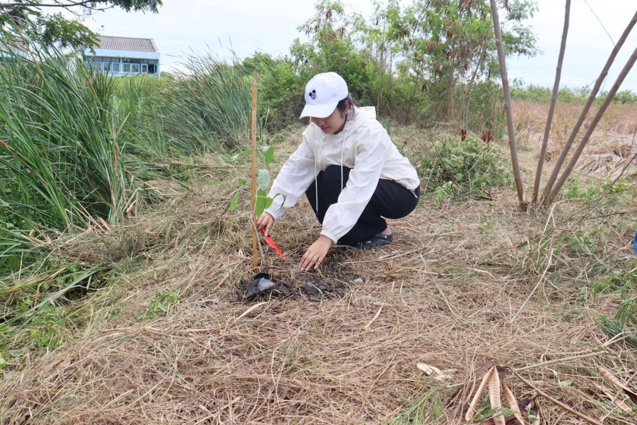 ภาพประกอบที่ 1