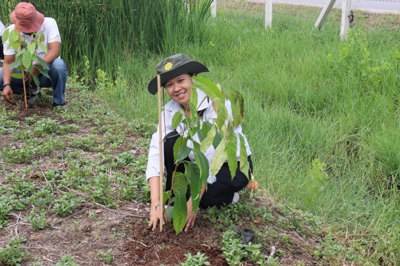 ภาพประกอบที่ 3