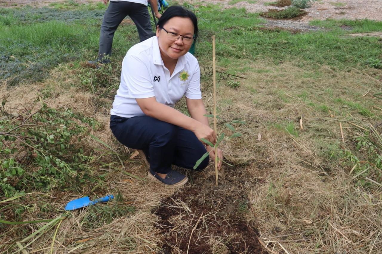 ภาพประกอบที่ 4