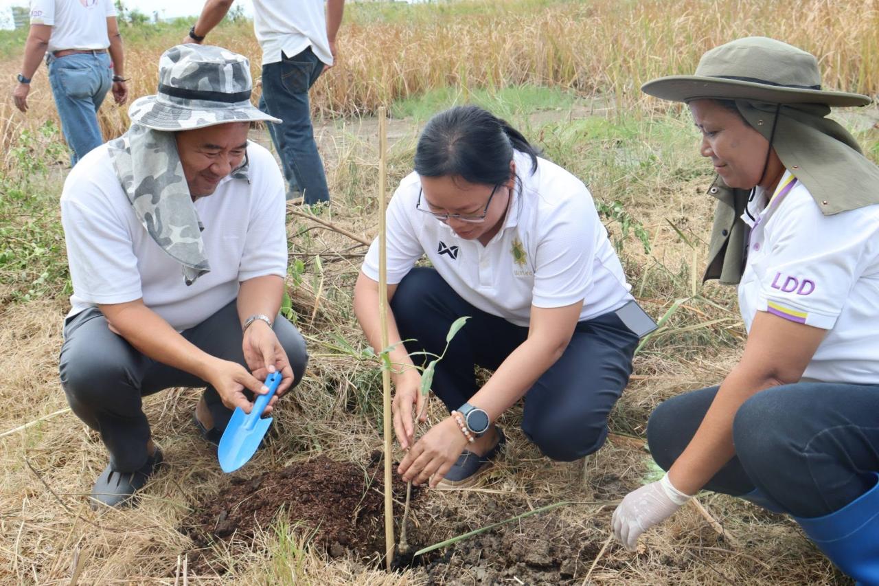 ภาพประกอบที่ 9