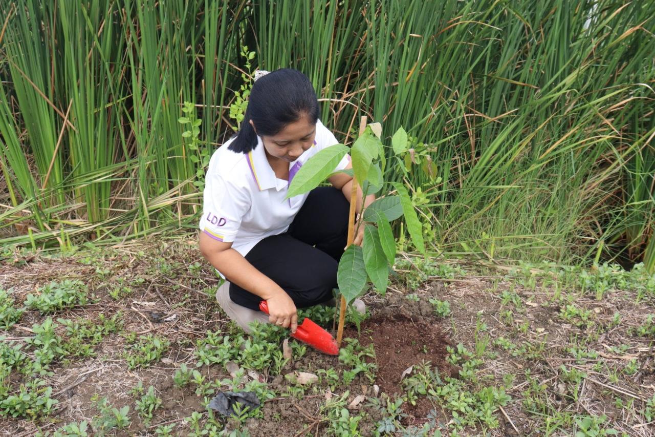 ภาพประกอบที่ 10