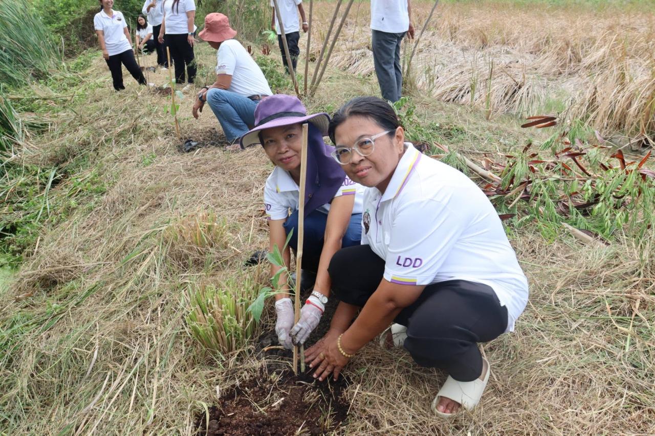 ภาพประกอบที่ 12