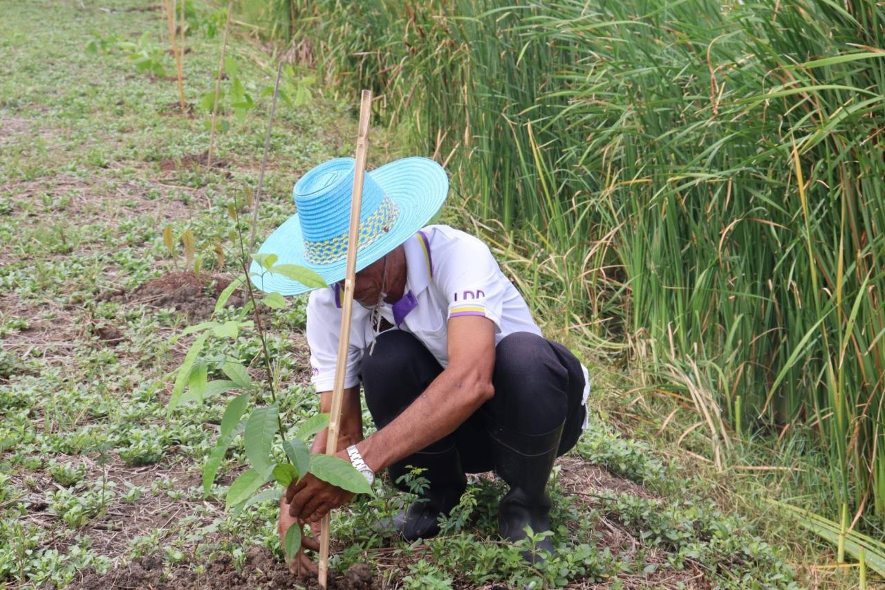 ภาพประกอบที่ 16