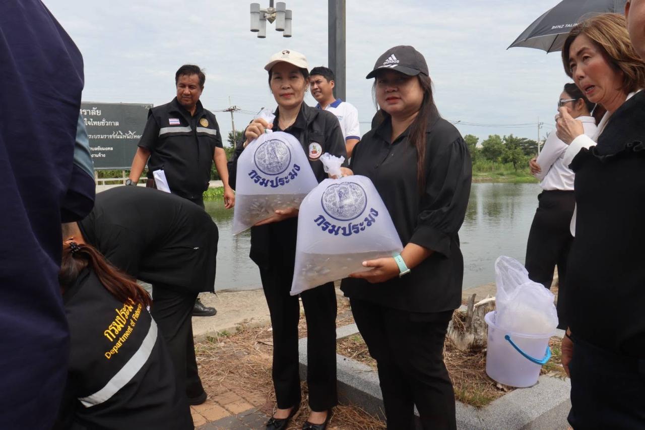 ภาพประกอบที่ 2