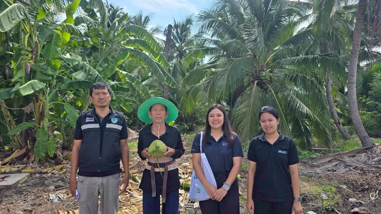 ภาพประกอบที่ 0