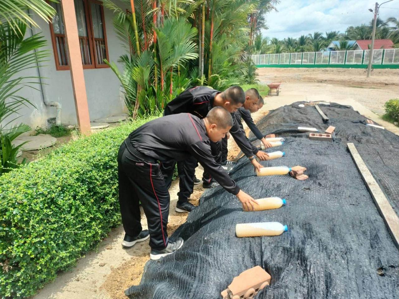 ภาพประกอบที่ 2
