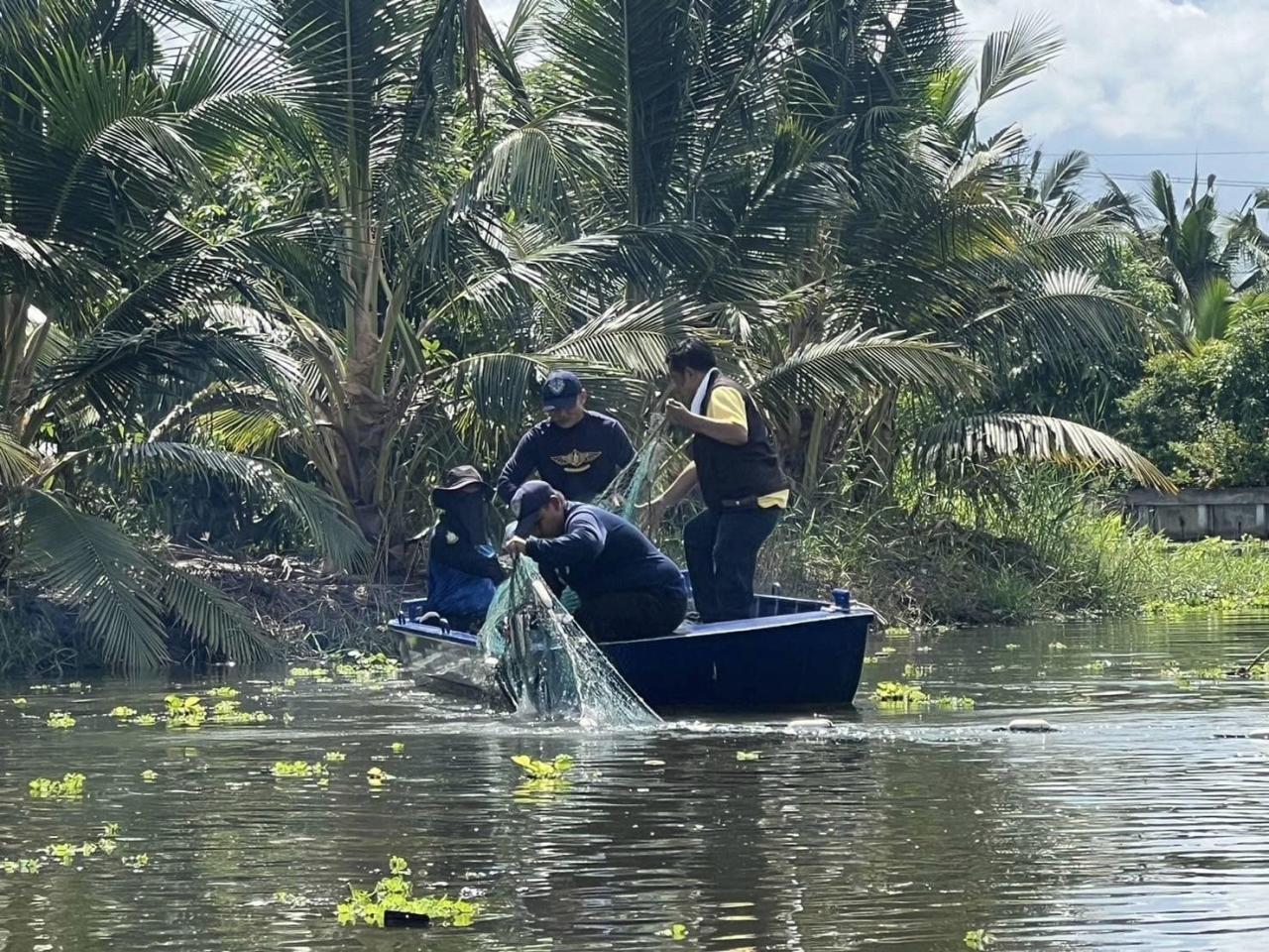 ภาพประกอบที่ 3