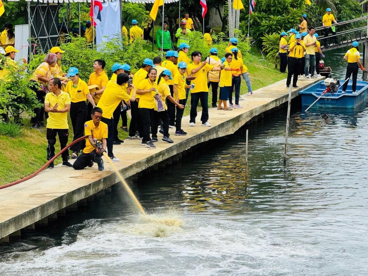 ภาพประกอบที่ 5