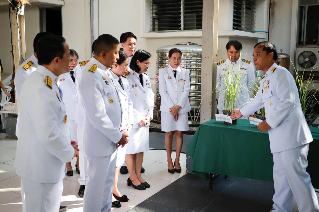 ภาพประกอบที่ 7