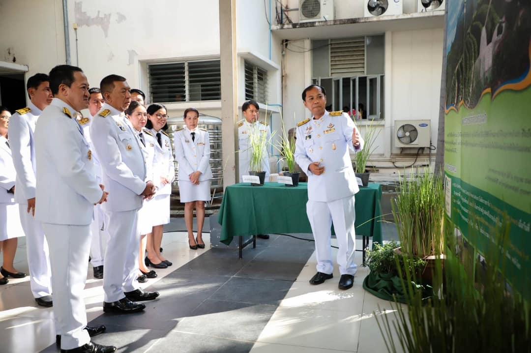 ภาพประกอบที่ 5