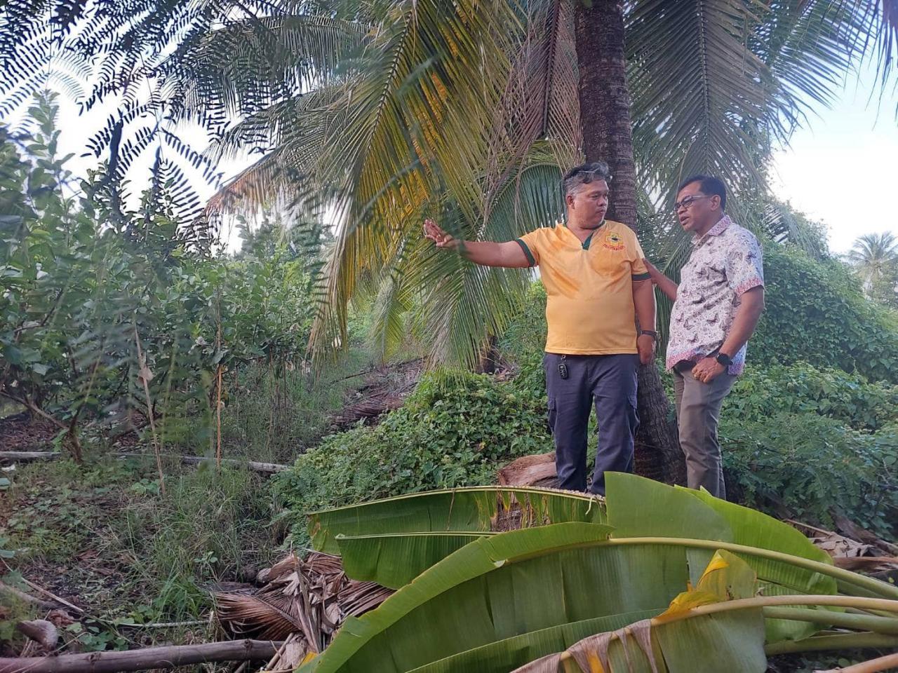 ภาพประกอบที่ 7