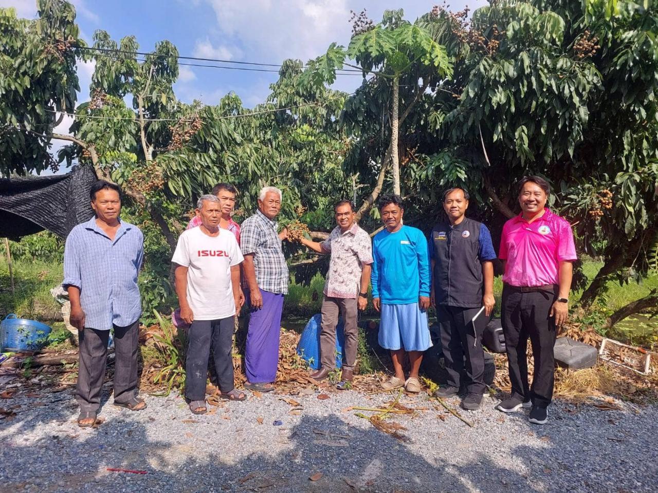 ภาพประกอบที่ 4