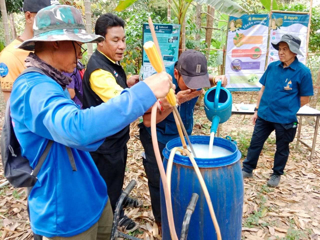 ภาพประกอบที่ 1