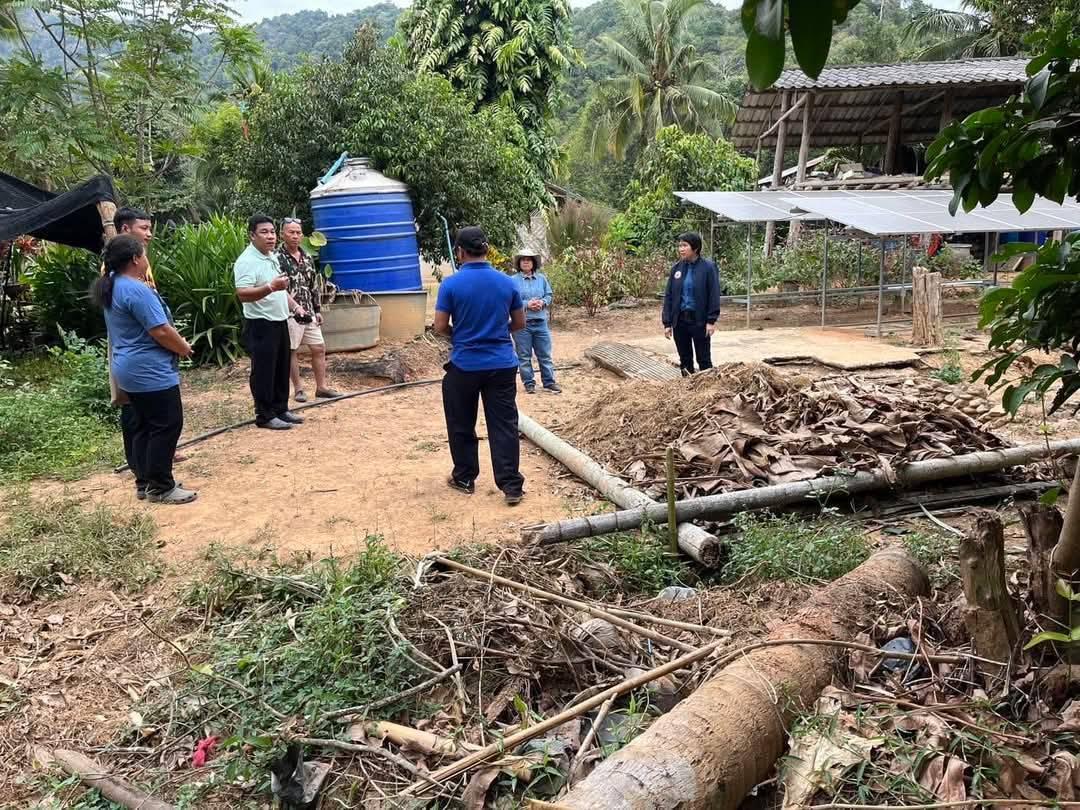 ภาพประกอบที่ 5