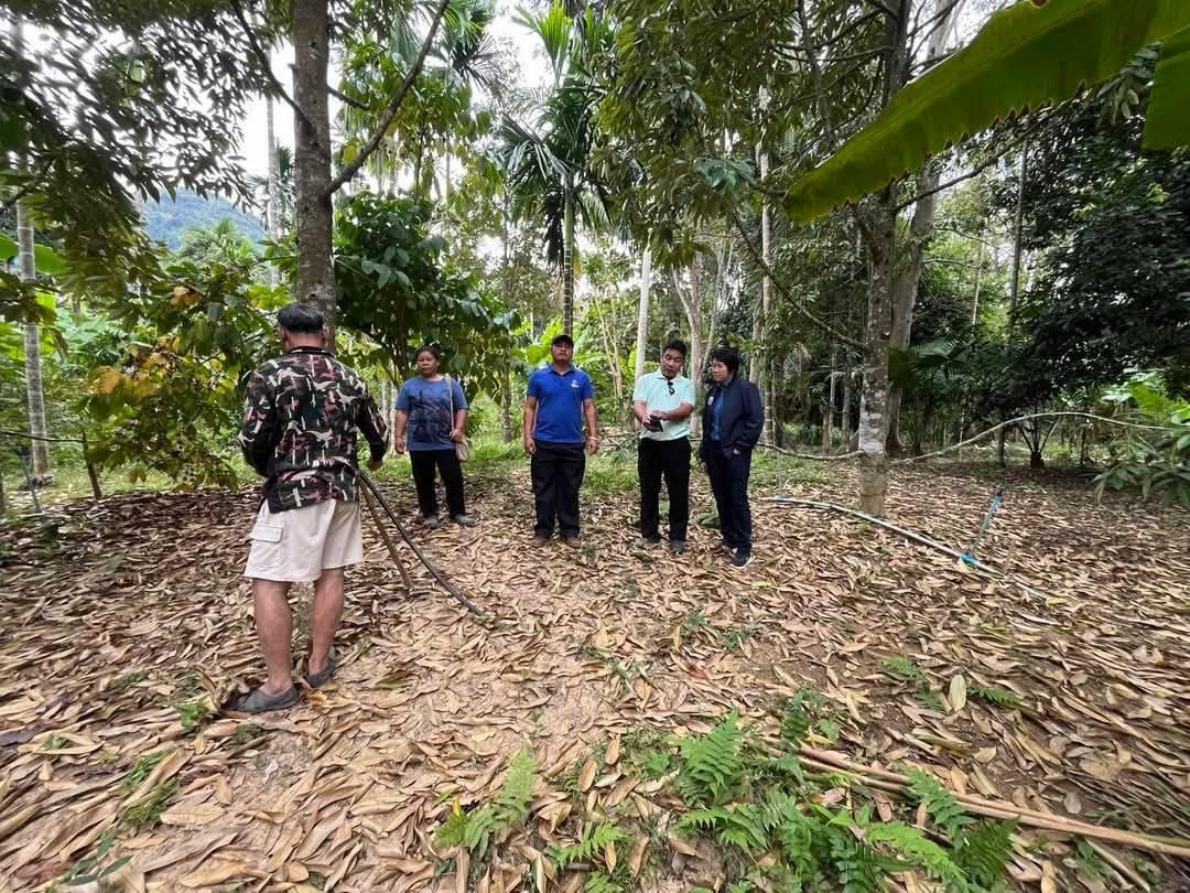 ภาพประกอบที่ 3