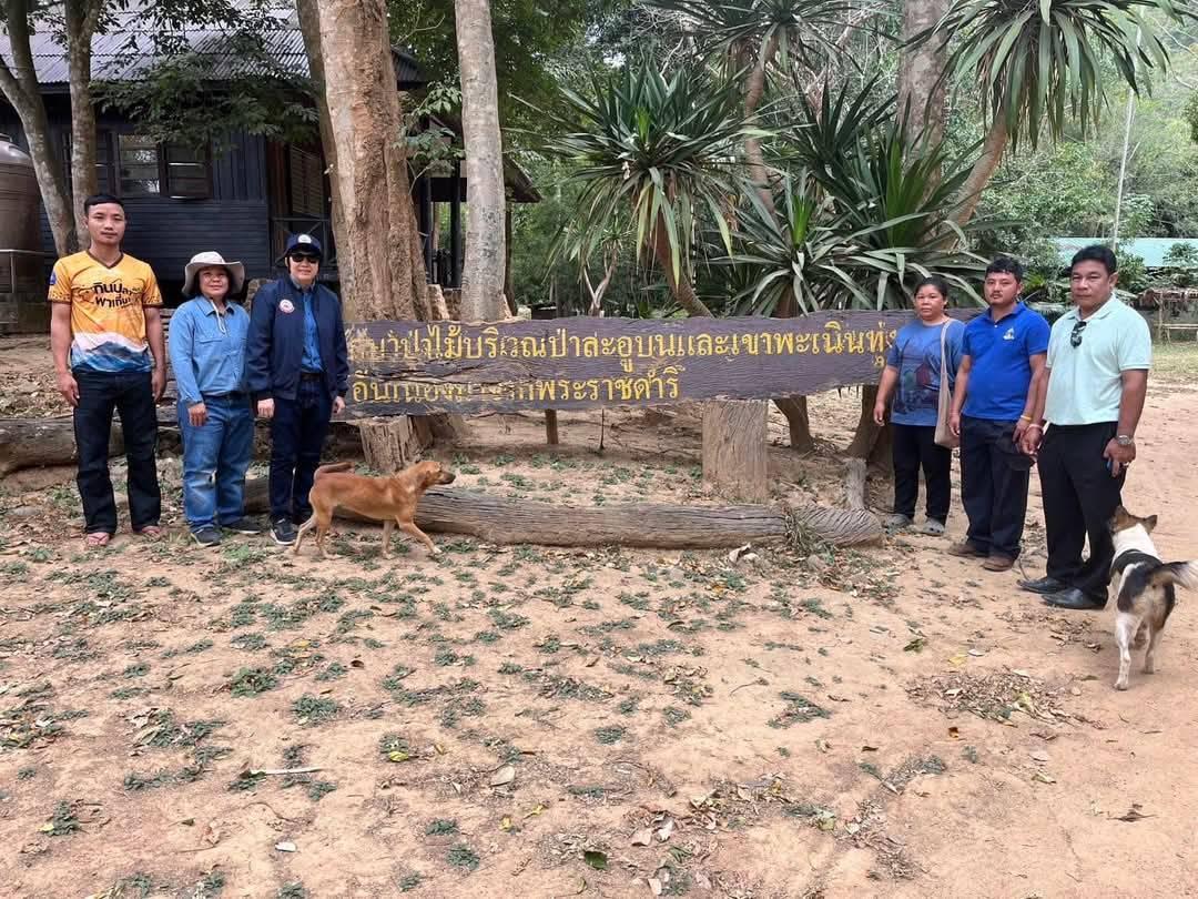 ภาพประกอบที่ 1