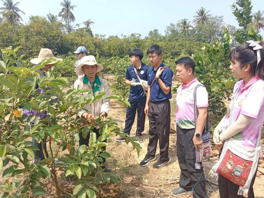 ภาพประกอบที่ 3