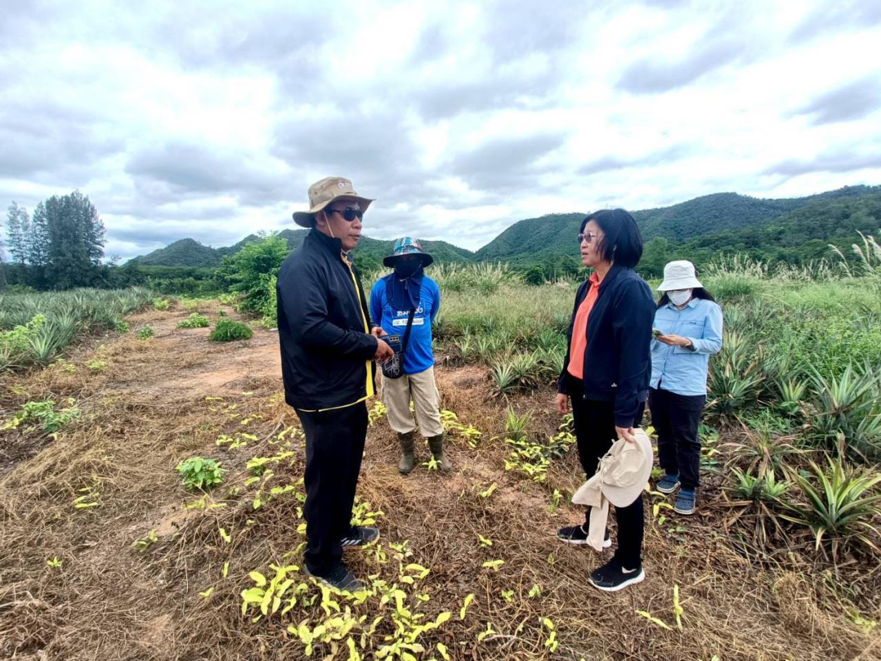 ภาพประกอบที่ 5