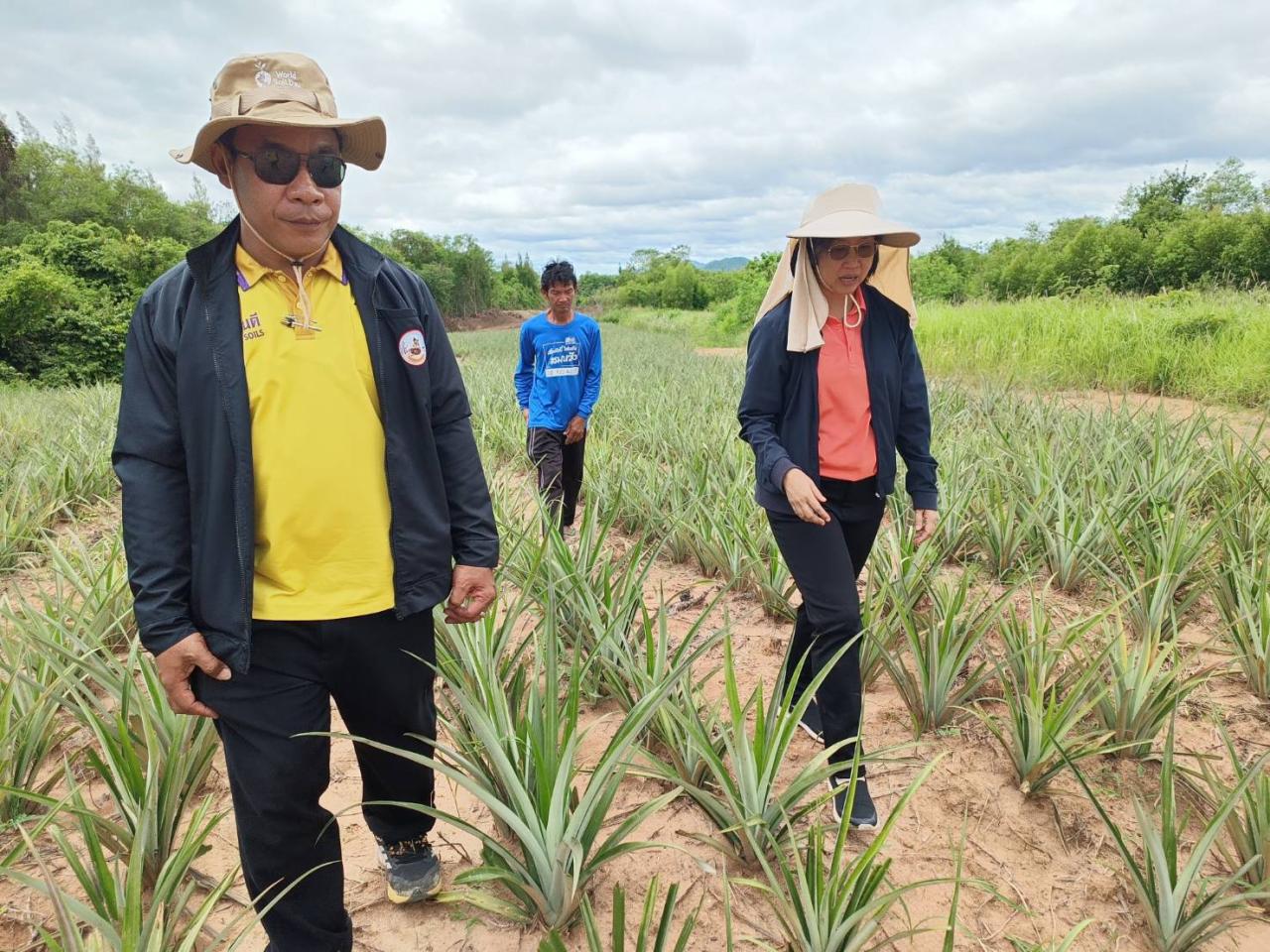ภาพประกอบที่ 1