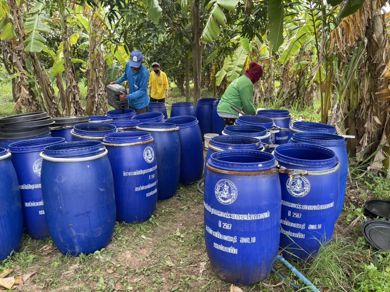 ภาพประกอบที่ 2