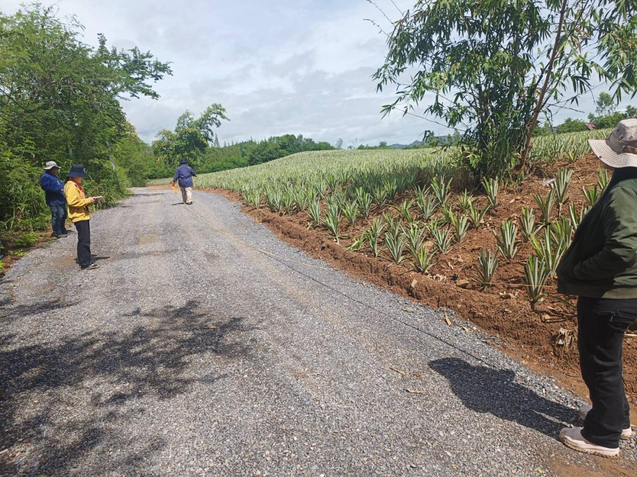 ภาพประกอบที่ 6