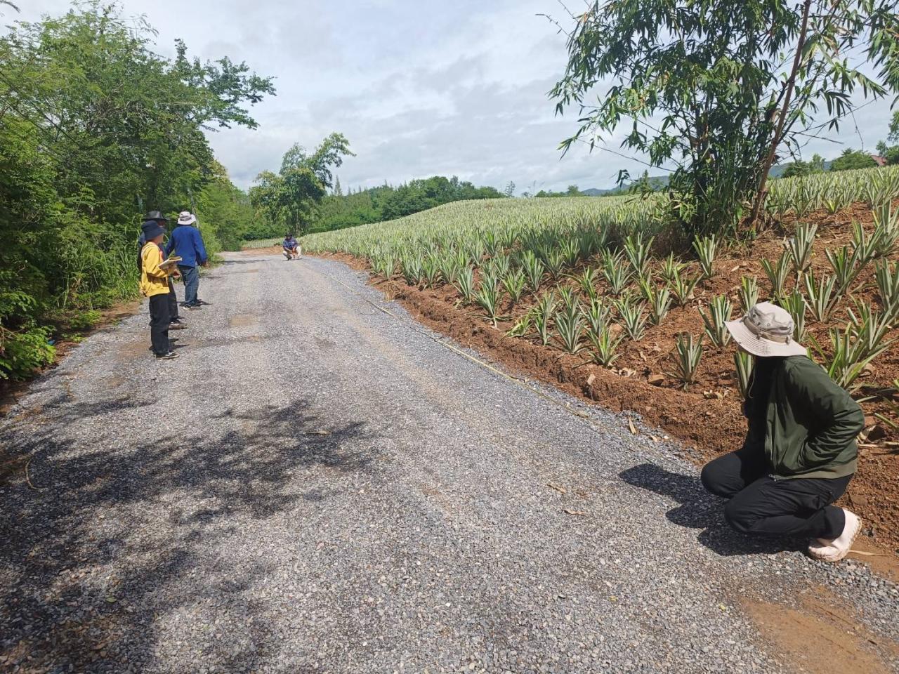 ภาพประกอบที่ 5