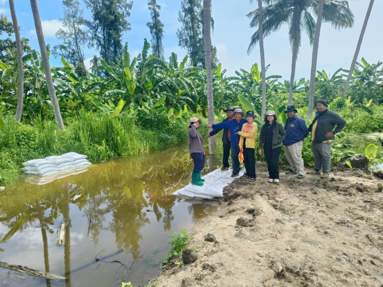 ภาพประกอบที่ 3