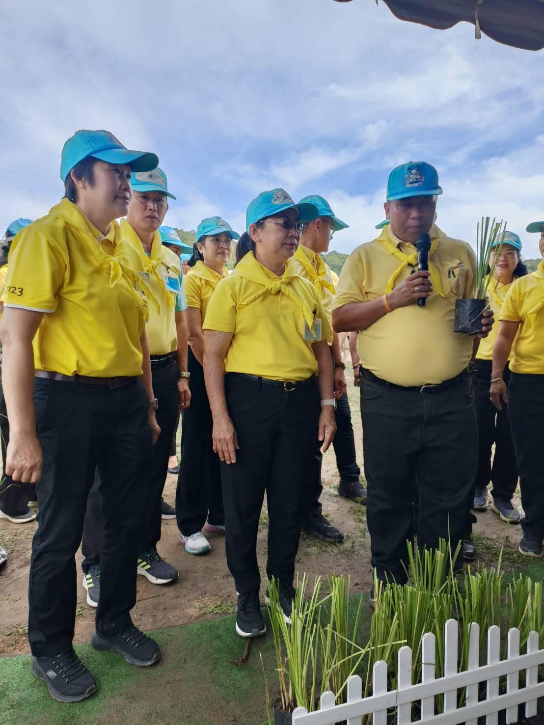 ภาพประกอบที่ 3