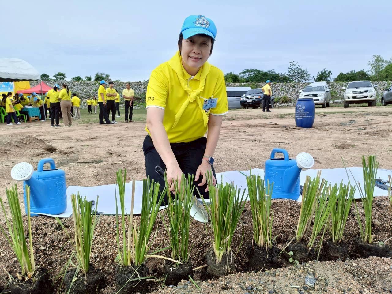 ภาพประกอบที่ 2
