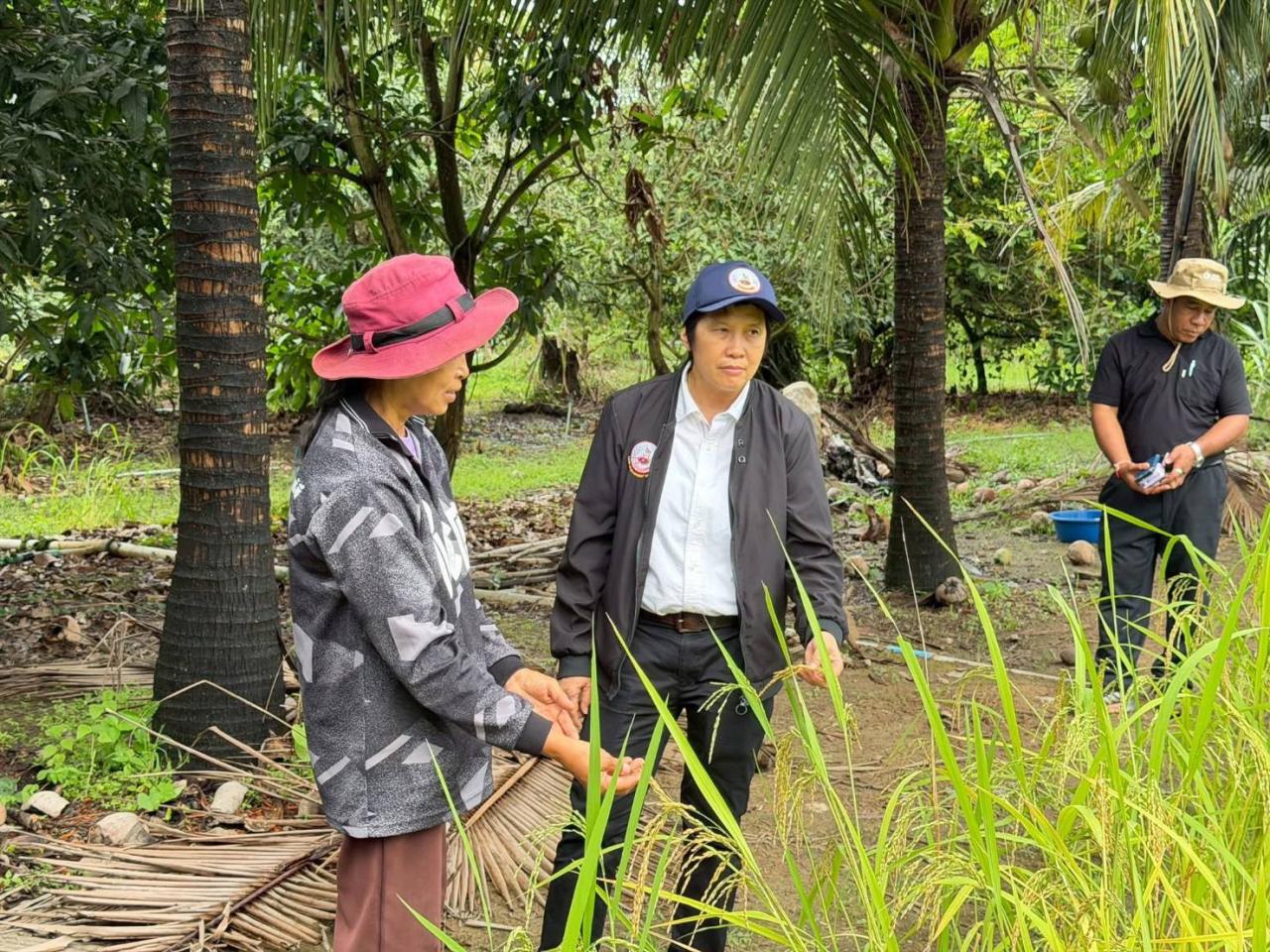 ภาพประกอบที่ 3