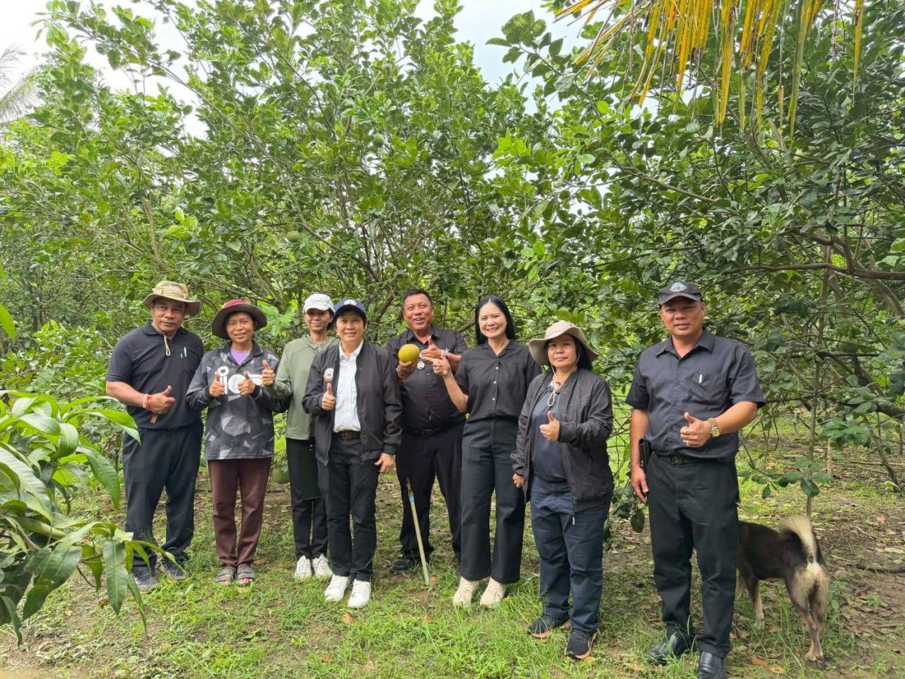 ภาพประกอบที่ 1