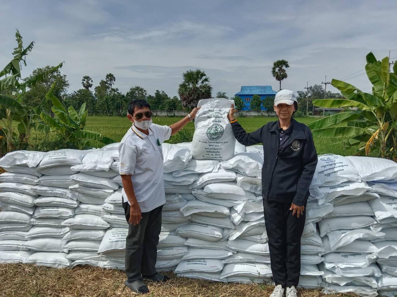 ภาพประกอบที่ 2
