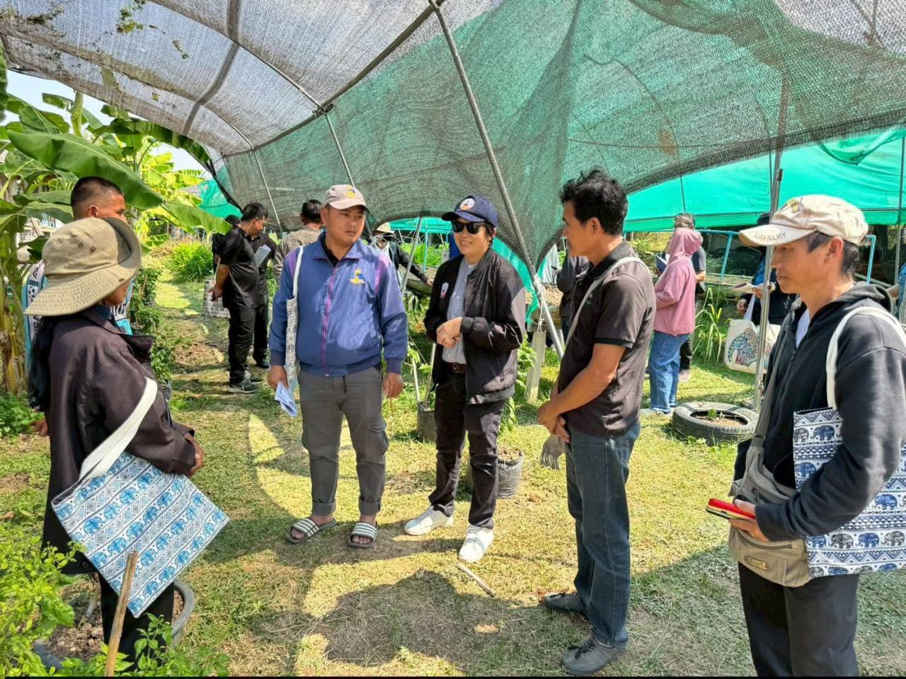 ภาพประกอบที่ 3